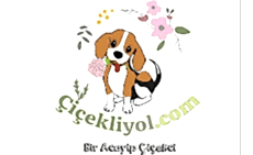 Çiçekliyol - Güvenli Alışveriş - Online Çiçek Siparişi - Çiçek Sepeti-Nöbetçi Çiçekci