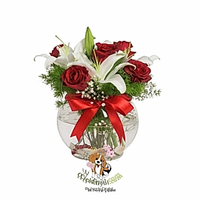 Dear Lilies 