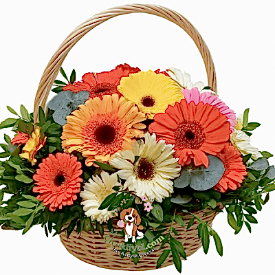 Mix basket 