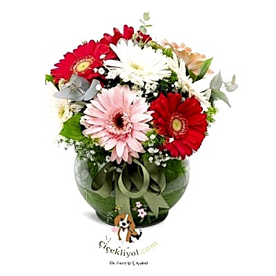 Rengarenk Gerbera Aranjmanı