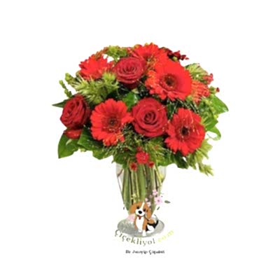 Vazoda Gerbera ve Gül