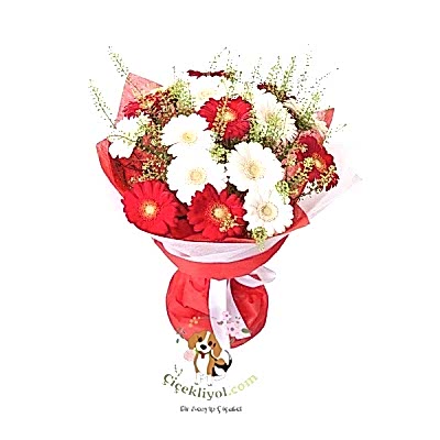 Kırmızı Beyaz Gerbera Buketi